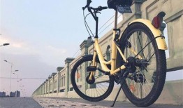 最新土坡自行车爆料新闻,土坡自行车赛事惊现惊人一幕，速度与激情再升级！